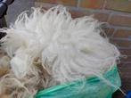 Ruwe wol mergellandschapen, vacht aan 1 stuk geschoren., Ophalen, Nieuw, Spinwol