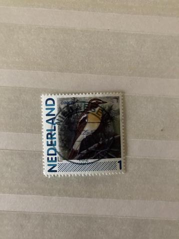 Persoonlijke postzegel vogels het Paapje beschikbaar voor biedingen
