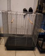 grote papegaaien kooi te koop!, Dieren en Toebehoren, Ophalen, Zo goed als nieuw, Metaal, Vogelkooi