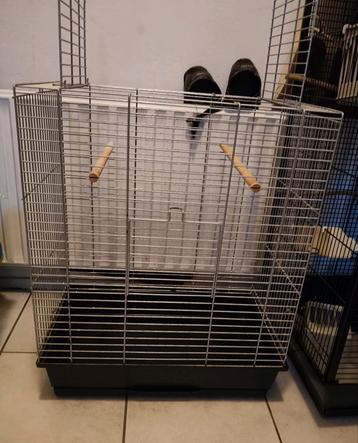 grote papegaaien kooi te koop! beschikbaar voor biedingen