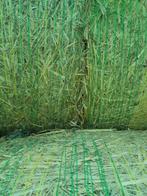 rogge stro in ronde balen, Dieren en Toebehoren, Ophalen of Verzenden, Nieuw