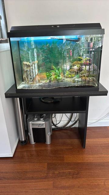 Aquarium Zwart Juwel +/- 70 liter beschikbaar voor biedingen