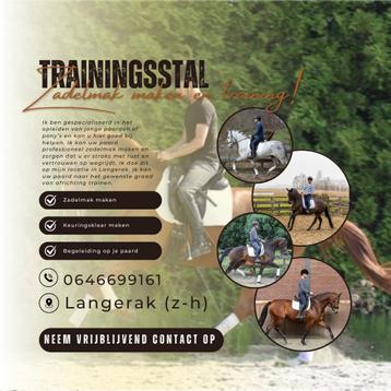 Trainingsstal: Zadelmak maken en training!  beschikbaar voor biedingen