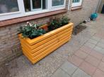 Unieke plantenbak, 100 cm of meer, Nieuw, 60 cm of meer, Rechthoekig