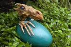 Korting entree Wonderwereld Ter Apel (dieren- en speeltuin), Tickets en Kaartjes, Drie personen of meer, Kortingskaart