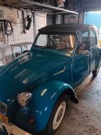 Leuke blauwe eend, Particulier, Te koop