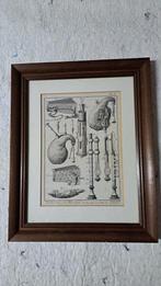 antieke prent doedelzak ,musette, Ophalen of Verzenden