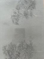 JAN TUIN. —  NATUURFOTO.  —. BESNEEUWDE BOMEN., Ophalen of Verzenden