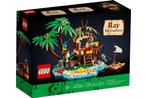 Lego 40566 Ray de schipbreukeling (nieuw in doos), Kinderen en Baby's, Speelgoed | Duplo en Lego, Lego, Lego, Nieuw, Ophalen of Verzenden