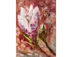 Schilderij magnolia Olie Canvas 18 X 24 cm, Ophalen of Verzenden