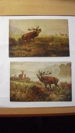 2 oude Dieren-kaarten, Verzenden, Wild dier