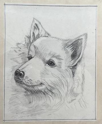 Tekening Hond beschikbaar voor biedingen