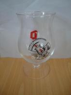 Duvel glas "Hemels schenkritueel", Ophalen of Verzenden, Zo goed als nieuw, Glas of Glazen, Duvel
