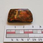 Ammoliet ammoniet Canada sierraden #3, Ophalen of Verzenden, Nieuw