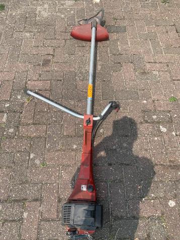 Bosmaaier jansered (moet nagekeken worden) beschikbaar voor biedingen