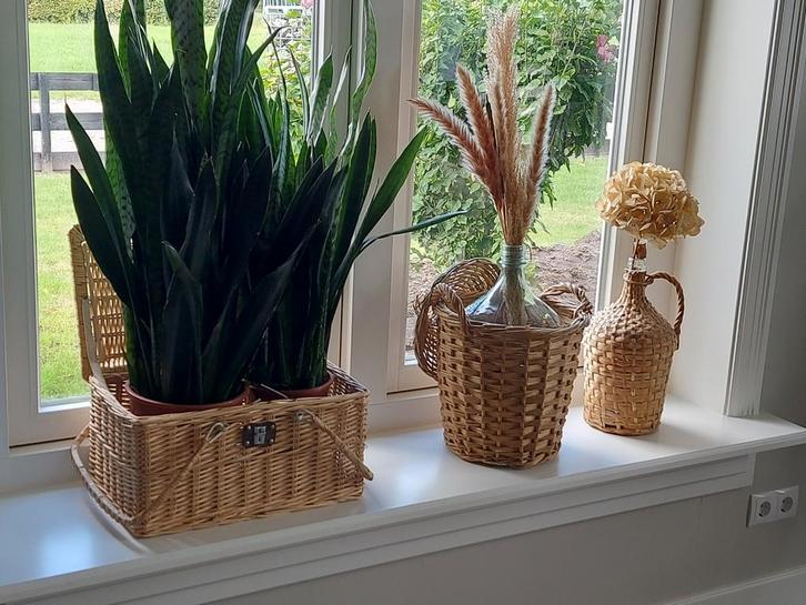 Rotan mand  kruik rieten fles planten rieten set, Huis en Inrichting, Woonaccessoires | Schalen en Manden, Rond, Riet, Ophalen