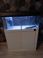 Leeg aquarium met onderkast filter en verwarming, Ophalen, Zo goed als nieuw, Leeg aquarium