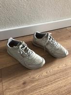 Sneakers van woden lichtgrijs maat 40, Kleding | Dames, Schoenen, Gedragen, Grijs, Woden, Ophalen of Verzenden