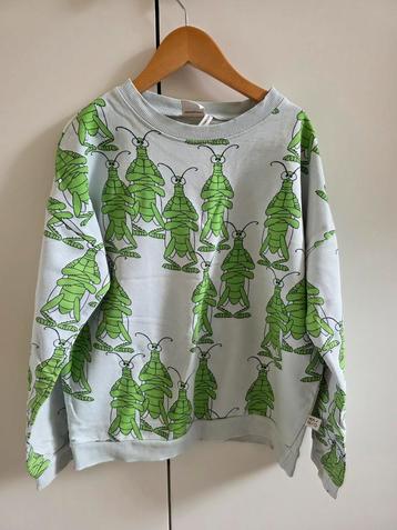 Erg mooie Mainio trui beschikbaar voor biedingen