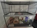 Ferplast hamster / knaagdieren / terrarium incl. Extra’s, Dieren en Toebehoren, Knaagdieren en Konijnen | Hokken en Kooien, Kooi