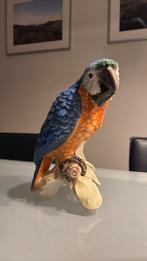 Goebel papegaai CV79 - African Grey Parrot, Ophalen of Verzenden, Zo goed als nieuw, Dier