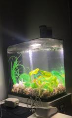 BiOrb Flow 30 Aquarium met veel toebehoren, Ophalen, Zo goed als nieuw, Leeg aquarium