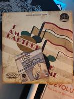 Bioshock Infinite Special Edition Boek & LP, Ophalen of Verzenden, Zo goed als nieuw, 12 inch, Overige genres