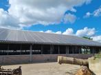 Rundveestal, Stal, Staalconstructie, Hal,