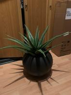 Kunst Aloë Vera Plant in Pot, Ophalen of Verzenden, Zo goed als nieuw, Binnen