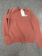 Nike Sweater XS Bruin - Nieuw met kaartje, Ophalen of Verzenden, Nieuw, Maat 34 (XS) of kleiner, Bruin