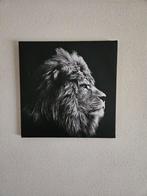 Canvas Schilderij - Leeuw Portret 40x40, Huis en Inrichting, Woonaccessoires | Schilderijen, Tekeningen en Foto's, Minder dan 50 cm
