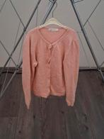 H&M vest maat 122-128, Gebruikt, Meisje, Trui of Vest, H&M