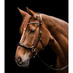 Waldhausen sidepull cob bruin, Dieren en Toebehoren, Ophalen of Verzenden, Nieuw, Recreatie