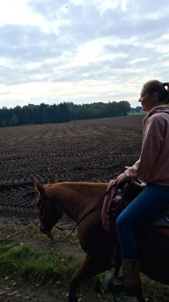 Drachtige quarter merrie te koop, Dieren en Toebehoren, Paarden, Merrie, Minder dan 160 cm, 3 tot 6 jaar, Westernpaard, Met stamboom