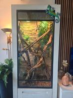 Reptielen kast, Dieren en Toebehoren, Reptielen en Amfibieën | Toebehoren, Ophalen, Zo goed als nieuw, Terrarium of Paludarium