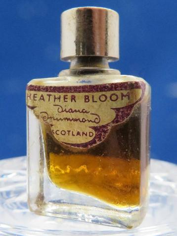 Mini - DRUMMOND - Heather Bloom - 3ml - p - 3,5cm beschikbaar voor biedingen