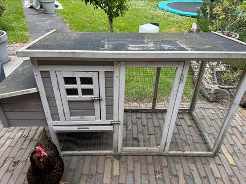 Kippenhok met rennetje en nachthok, Dieren en Toebehoren, Pluimvee | Toebehoren, Gebruikt, Kippenhok of Kippenren, Ophalen