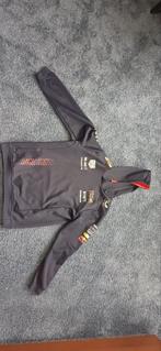 Red Bull Racing Hoodie Max Verstappen Maat 164, Jongen of Meisje, Red Bull Racing, Ophalen of Verzenden, Overige typen