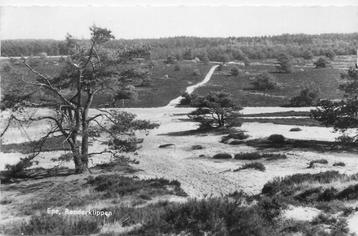 (387-105-023) Epe Renderklippen beschikbaar voor biedingen