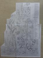 borduren borduurpatroon veldbloemen wilde weide kruiden, Ophalen of Verzenden, Zo goed als nieuw, Handborduren, Patroon