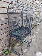 Grote vogelkooi voor parkieten/dwergpapegaaien, Dieren en Toebehoren, Vogels | Hokken en Kooien, Ophalen, Gebruikt, Metaal, Vogelkooi