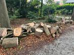 Haardhout, gezaagde blokken kastanje en esdoorn, hard hout, Tuin en Terras, Haardhout, 3 tot 6 m³, Ophalen