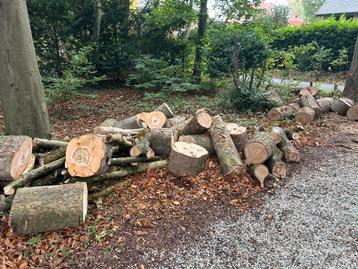 Haardhout, gezaagde blokken kastanje en esdoorn, hard hout beschikbaar voor biedingen