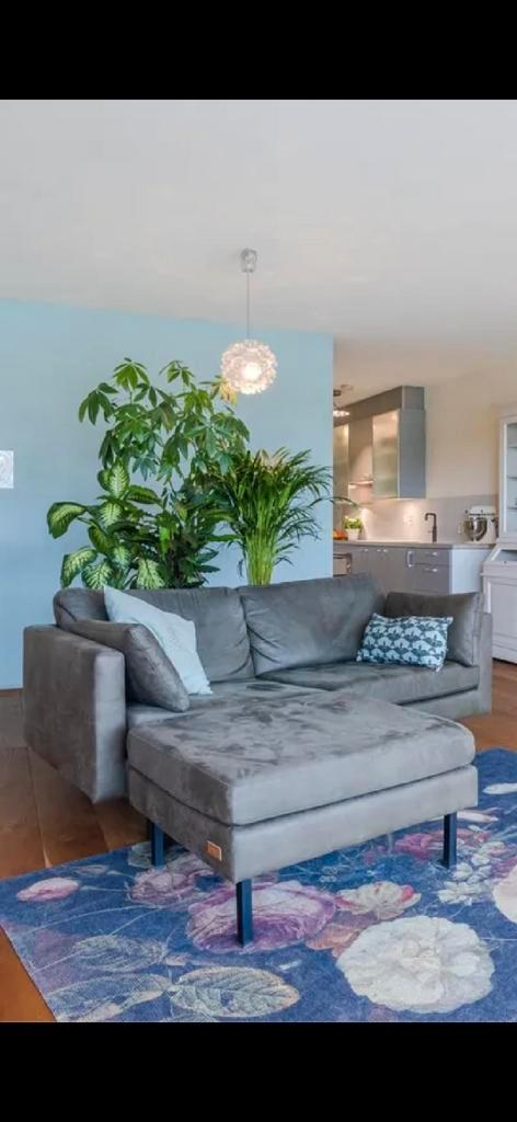 Sissy Boy Amsterdam 2,5 zits bank - Groen, Huis en Inrichting, Banken | Bankstellen, Zo goed als nieuw, Tweepersoons, 150 tot 200 cm