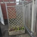 Gratis! Leuke plantenbak met Framboos en druif, Ophalen, Gebruikt