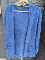 Vest licht blauw, Ophalen of Verzenden, Zo goed als nieuw, Blauw