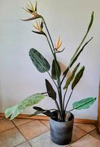 Emerald Kunstplant Strelitzia - per stuk, Ophalen of Verzenden, Zo goed als nieuw, Binnen