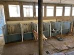 5 alpuro kalverhokken, kalverhok, eenlingbox, Dieren en Toebehoren