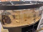 Jewel Vision 450 Liter Aquarium met bijbehorende kast, Ophalen, Gebruikt, Leeg aquarium