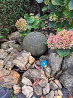 TE KOOP WATERBOL COMPLEET, Ophalen, Gebruikt